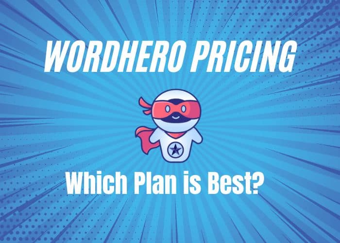 wordhero pricing