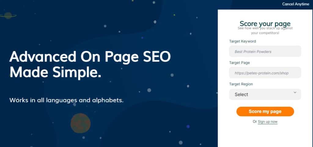 page optimizer pro