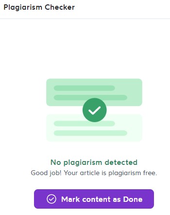 surfer seo review plagiarism checker